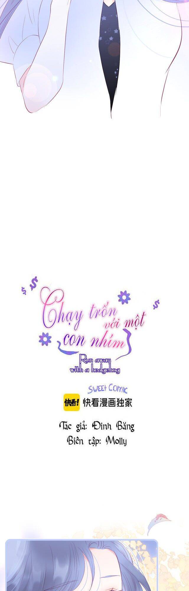 Chạy Trốn Cùng Con Nhím - Chương 19 - Trang 3