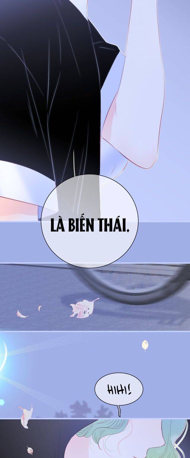 Chạy Trốn Cùng Con Nhím - Chương 19 - Trang 27