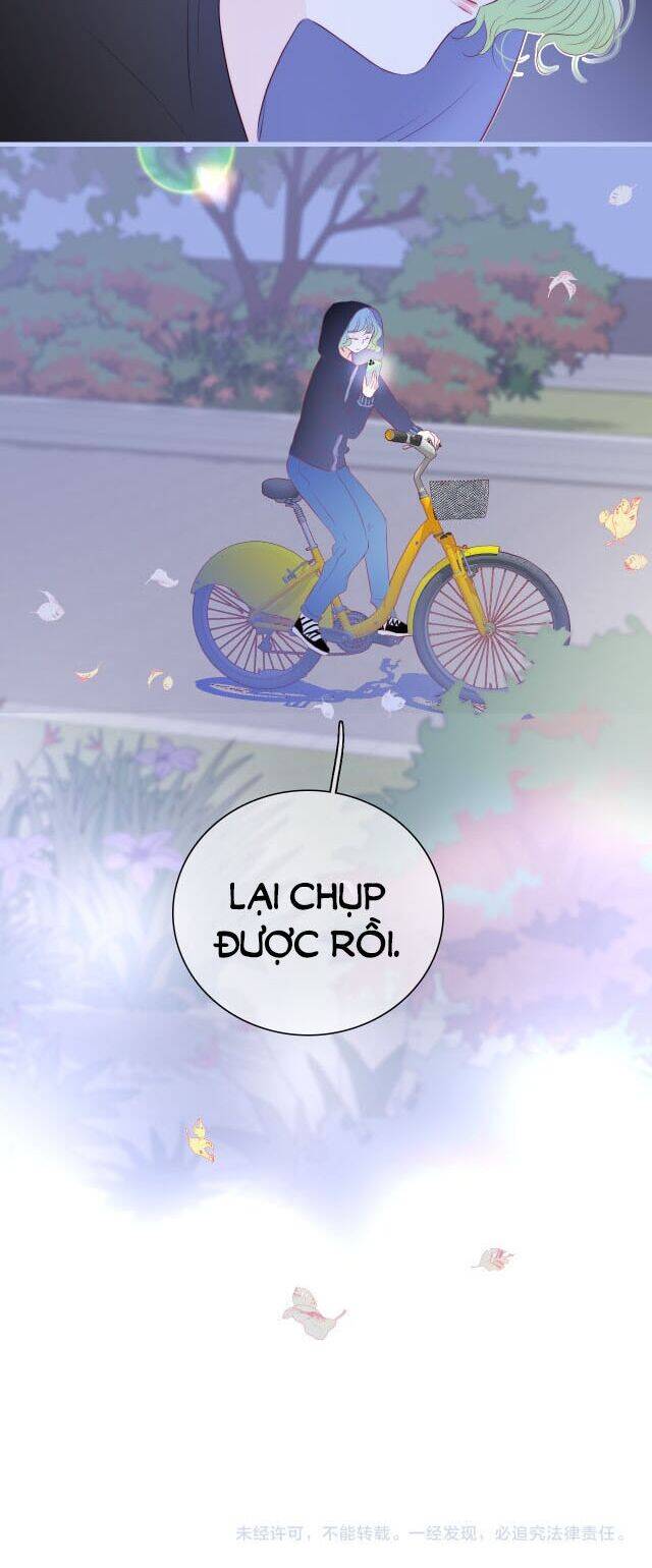 Chạy Trốn Cùng Con Nhím - Chương 19 - Trang 28