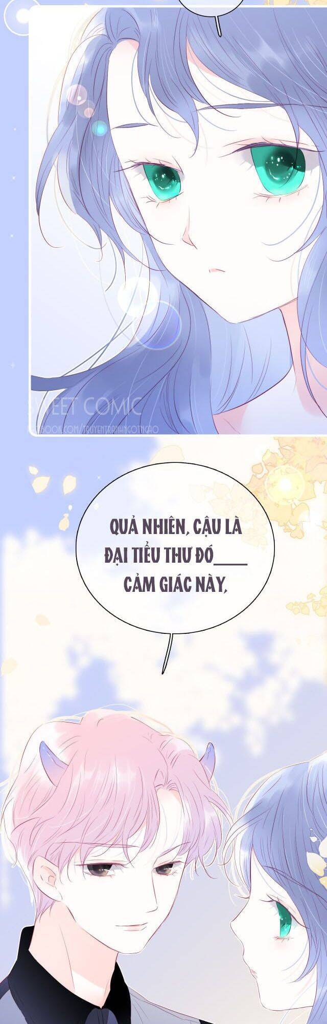 Chạy Trốn Cùng Con Nhím - Chương 21 - Trang 2