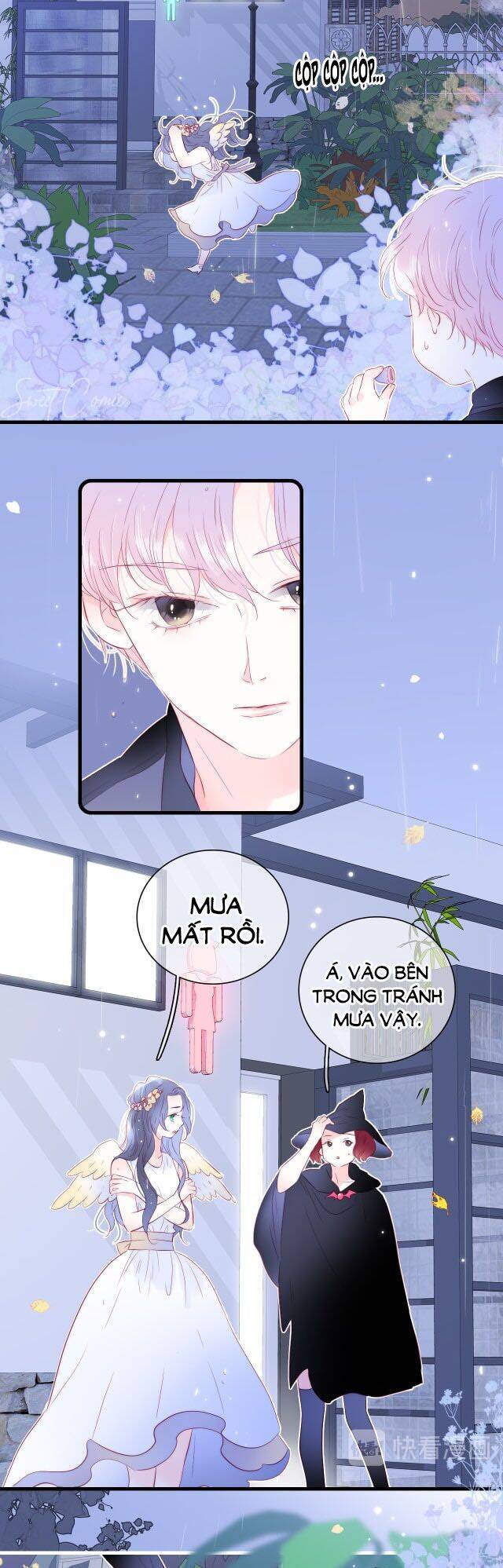 Chạy Trốn Cùng Con Nhím - Chương 23 - Trang 19