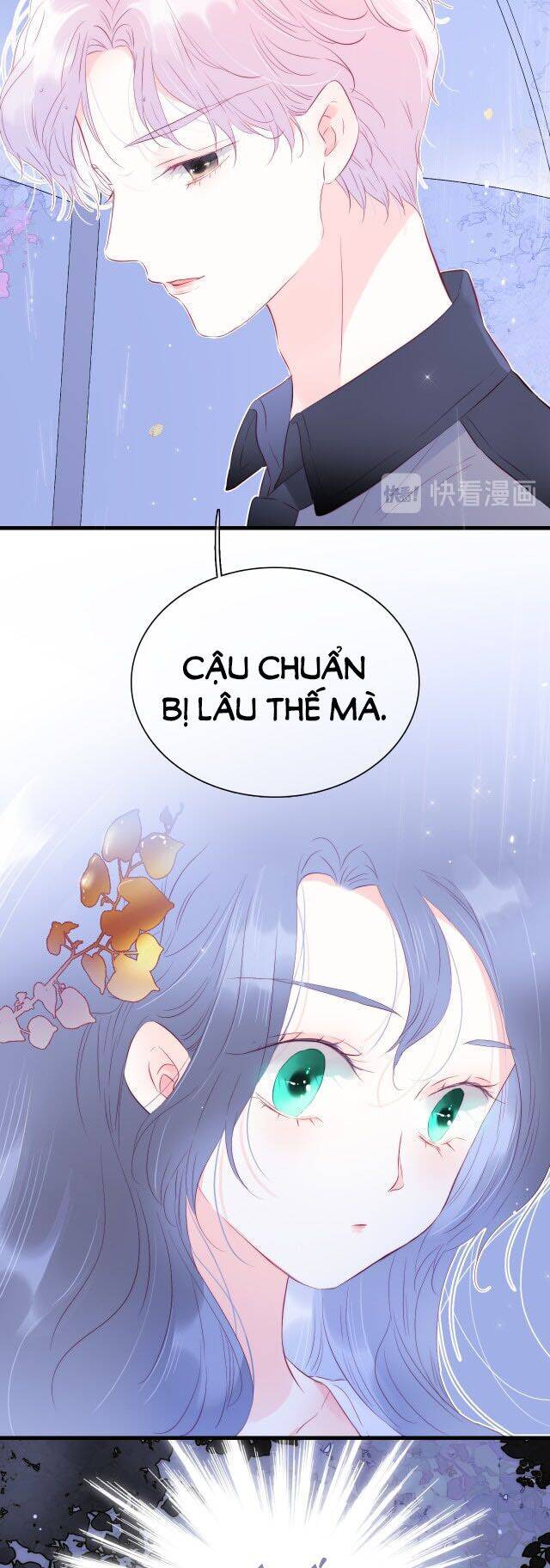 Chạy Trốn Cùng Con Nhím - Chương 23 - Trang 24