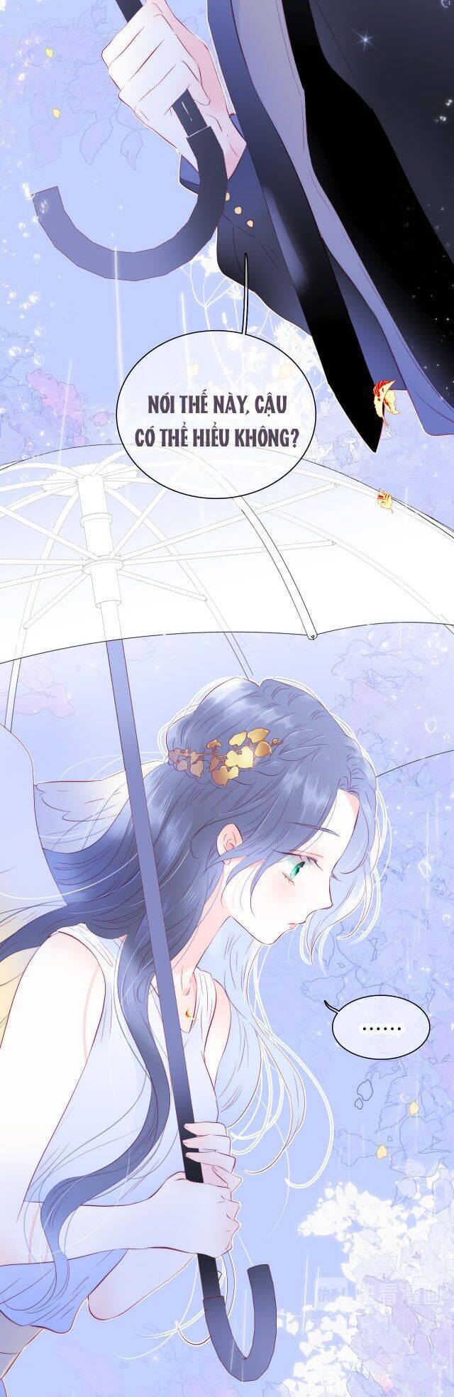 Chạy Trốn Cùng Con Nhím - Chương 23 - Trang 29