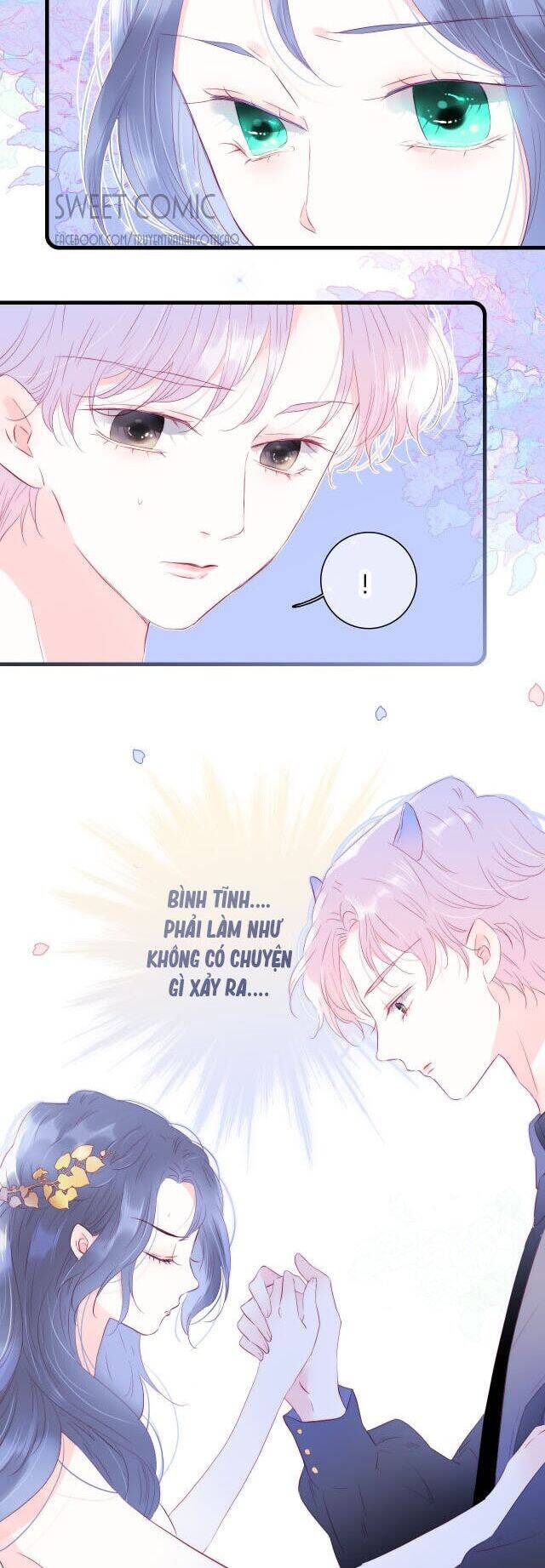 Chạy Trốn Cùng Con Nhím - Chương 23 - Trang 5