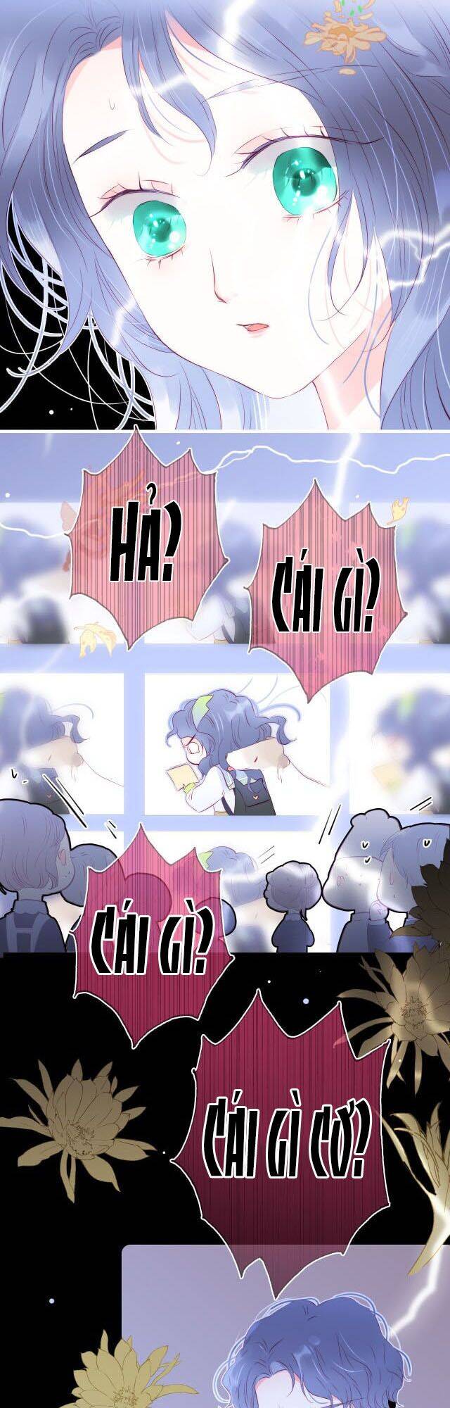 Chạy Trốn Cùng Con Nhím - Chương 24 - Trang 12