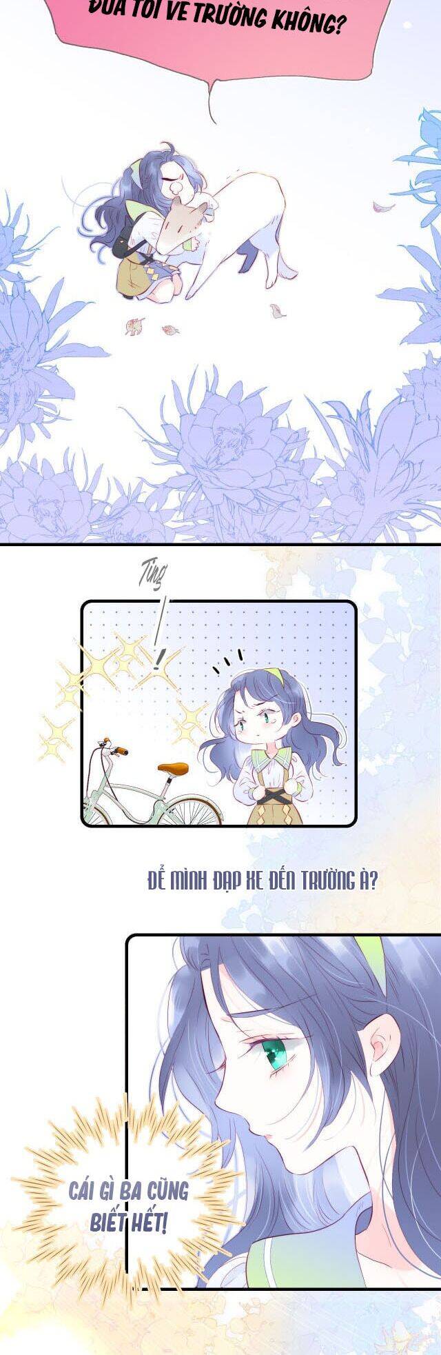 Chạy Trốn Cùng Con Nhím - Chương 24 - Trang 15