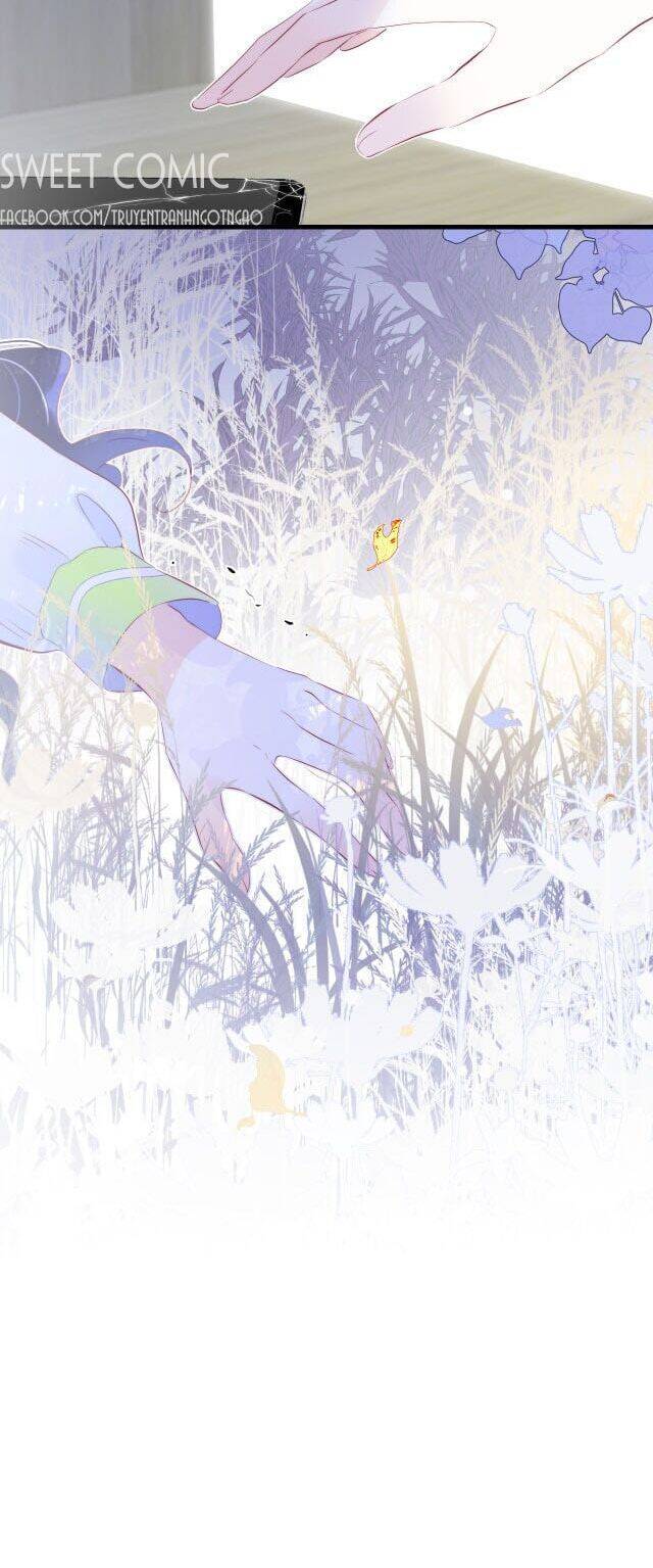 Chạy Trốn Cùng Con Nhím - Chương 24 - Trang 29