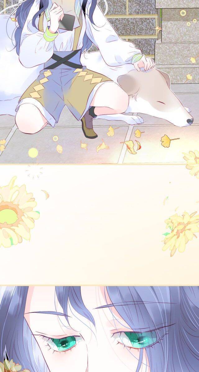 Chạy Trốn Cùng Con Nhím - Chương 24 - Trang 35