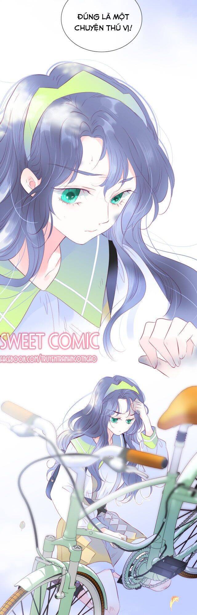 Chạy Trốn Cùng Con Nhím - Chương 25 - Trang 8