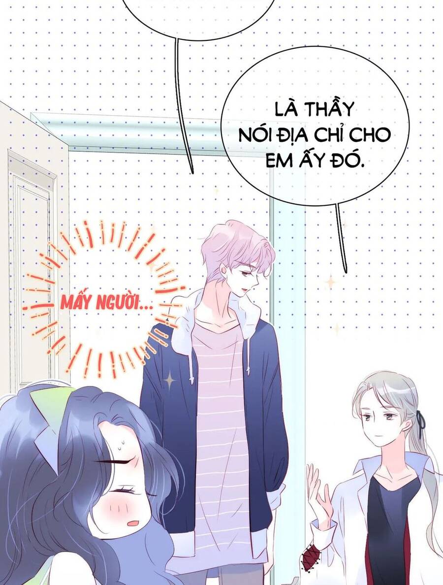 Chạy Trốn Cùng Con Nhím - Chương 27 - Trang 15