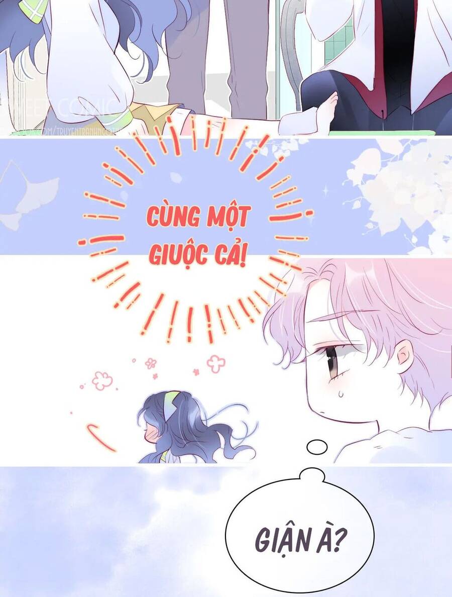 Chạy Trốn Cùng Con Nhím - Chương 27 - Trang 16