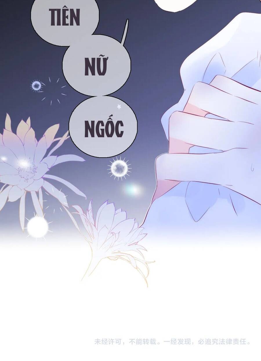 Chạy Trốn Cùng Con Nhím - Chương 27 - Trang 46