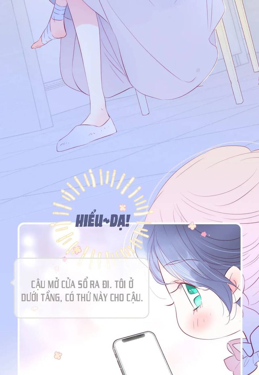 Chạy Trốn Cùng Con Nhím - Chương 29 - Trang 24