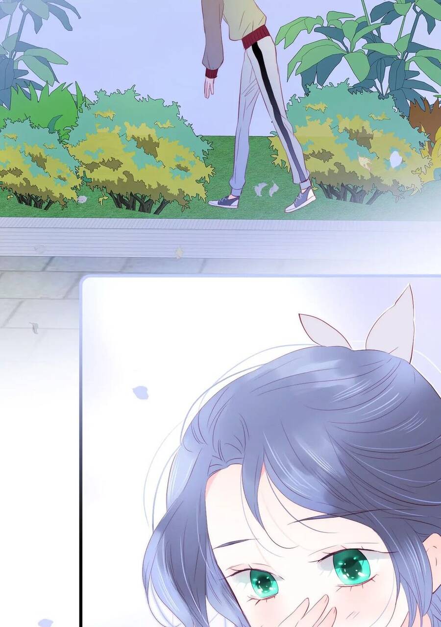 Chạy Trốn Cùng Con Nhím - Chương 29 - Trang 31