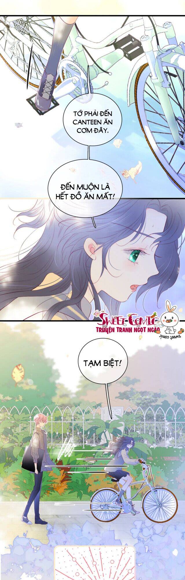 Chạy Trốn Cùng Con Nhím - Chương 31 - Trang 11