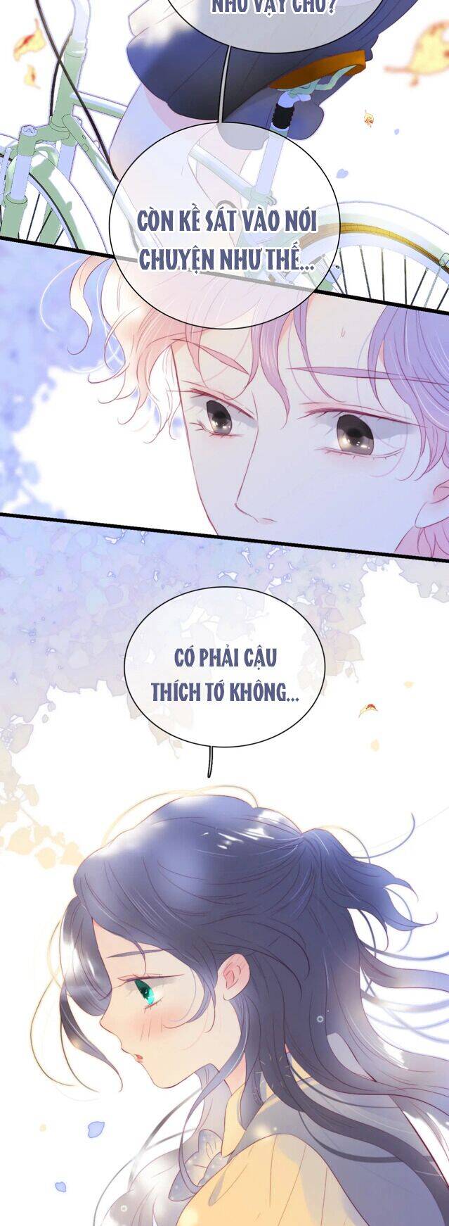 Chạy Trốn Cùng Con Nhím - Chương 31 - Trang 14