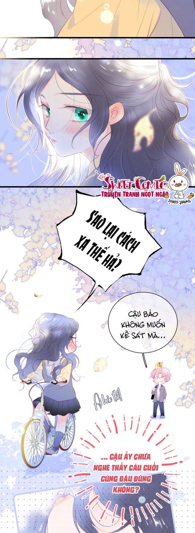 Chạy Trốn Cùng Con Nhím - Chương 31 - Trang 15