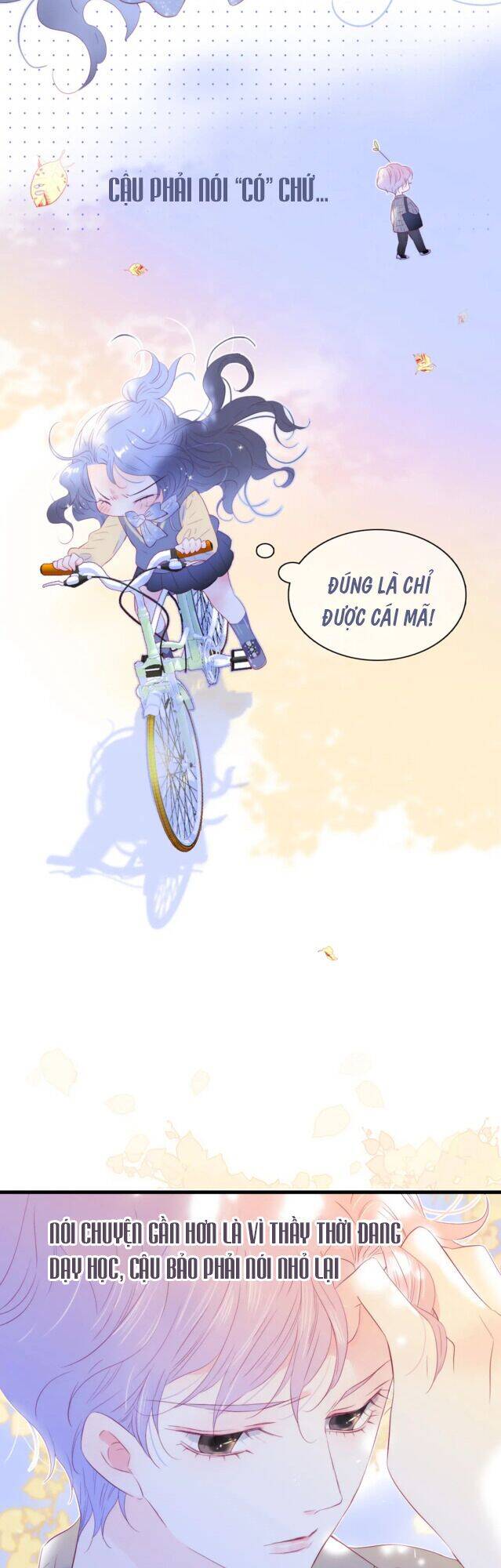 Chạy Trốn Cùng Con Nhím - Chương 31 - Trang 17