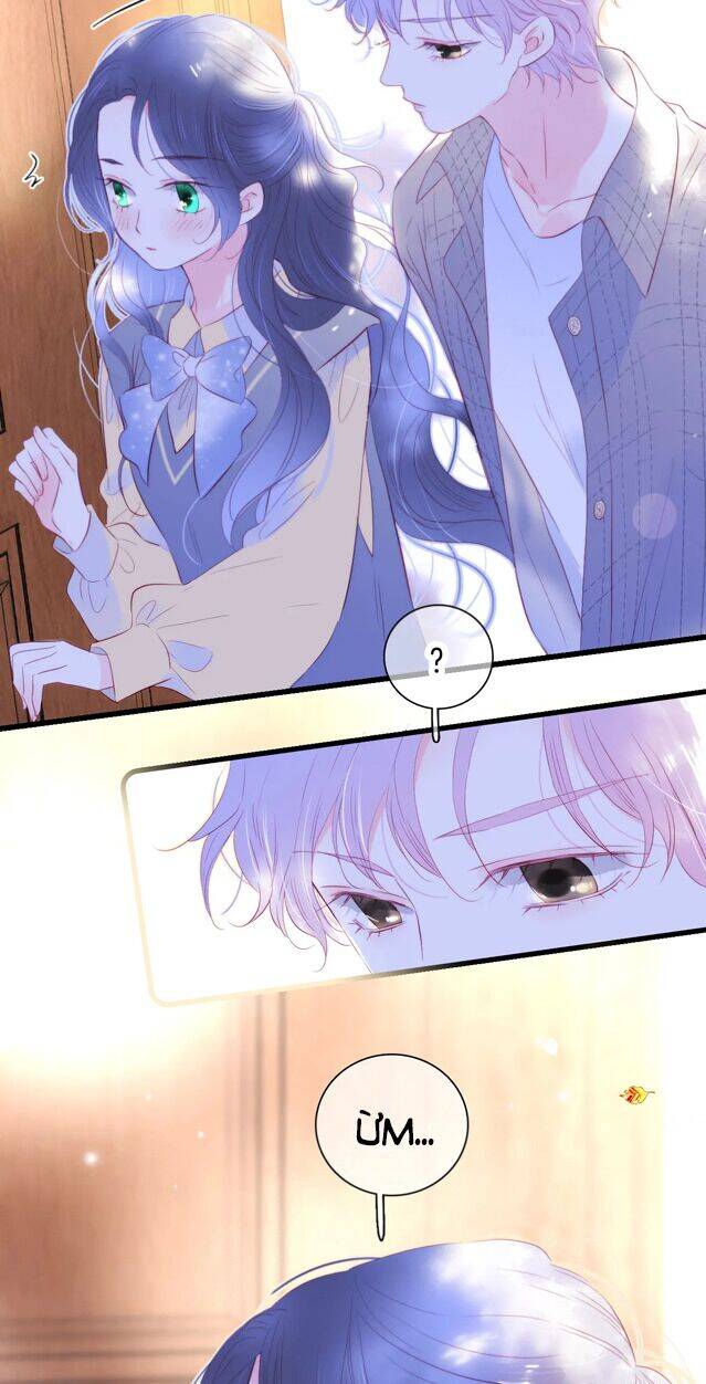 Chạy Trốn Cùng Con Nhím - Chương 31 - Trang 4