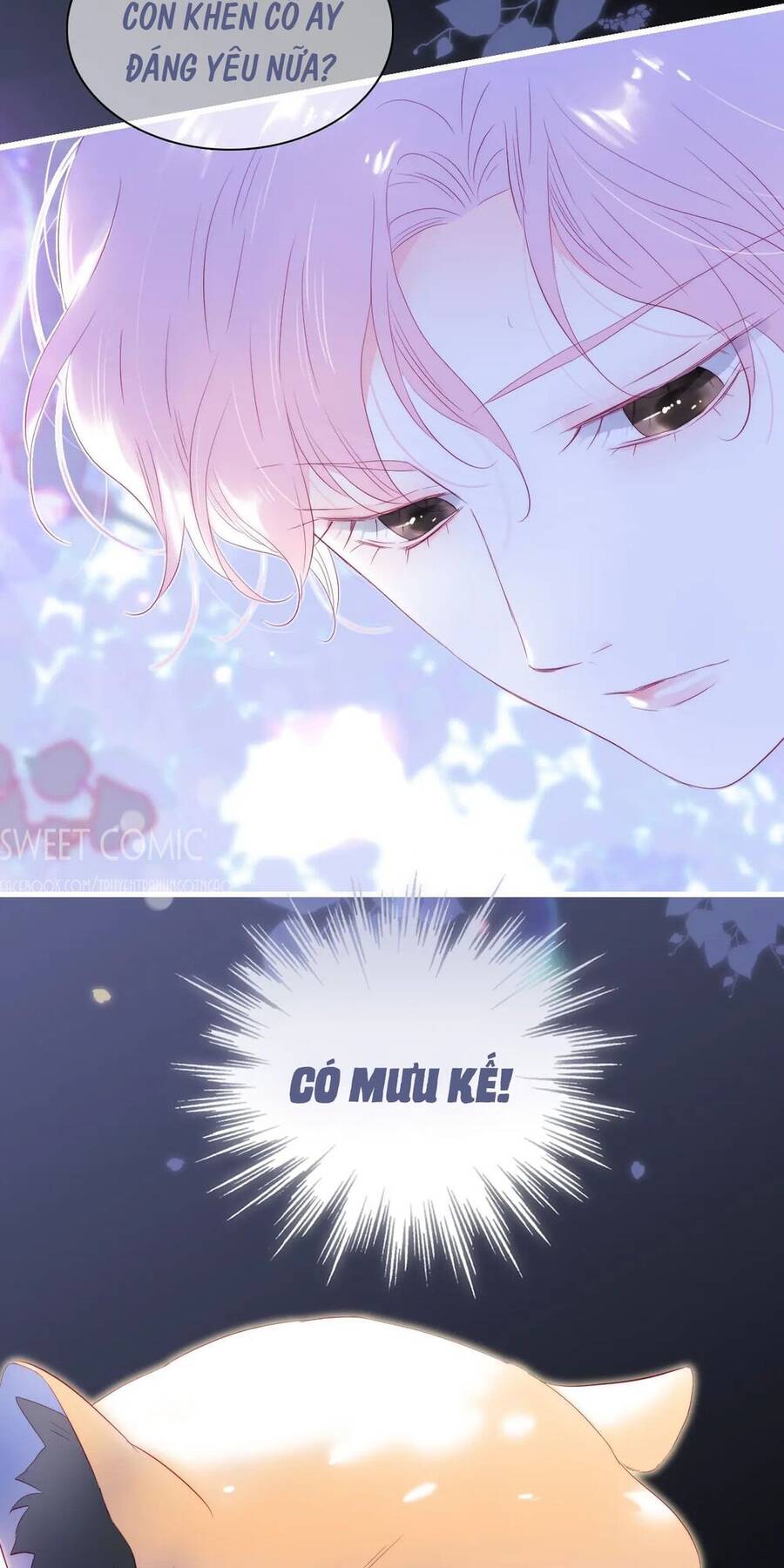 Chạy Trốn Cùng Con Nhím - Chương 33 - Trang 5