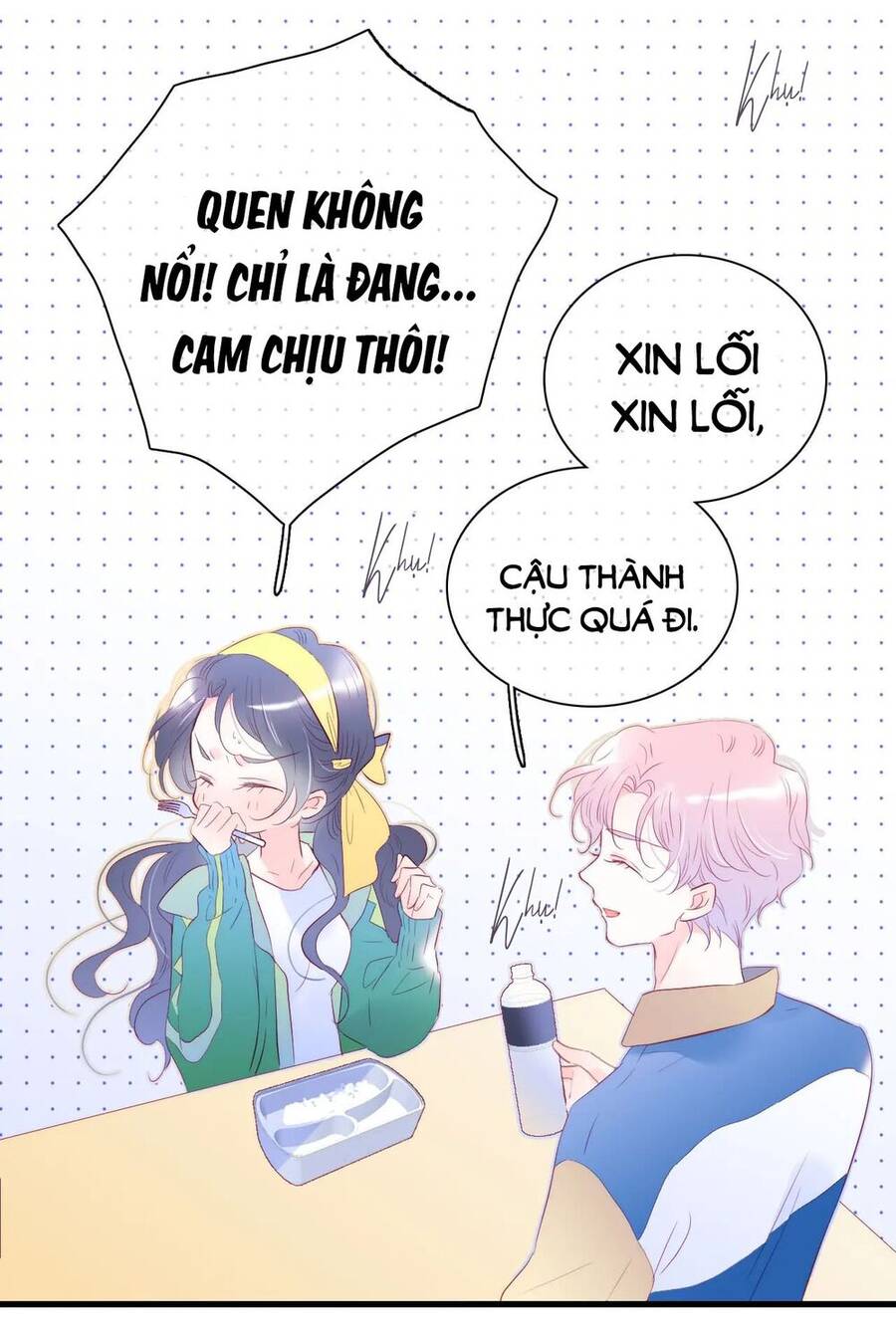 Chạy Trốn Cùng Con Nhím - Chương 35 - Trang 22