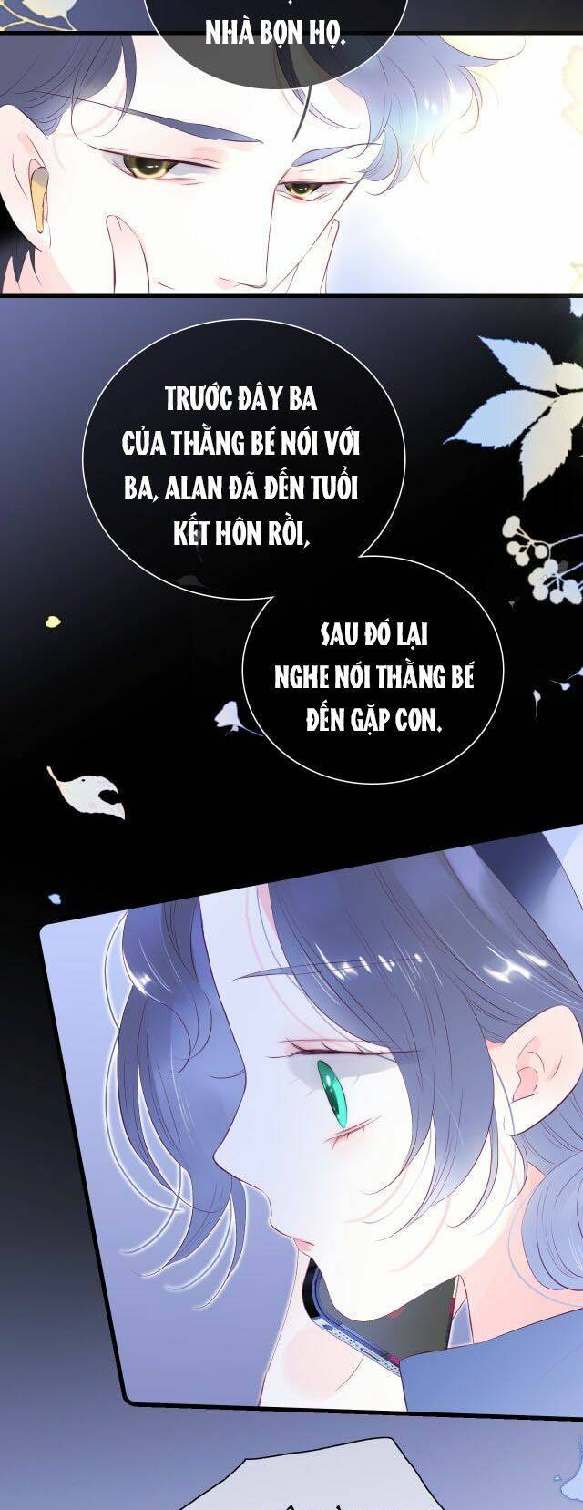 Chạy Trốn Cùng Con Nhím - Chương 42 - Trang 11