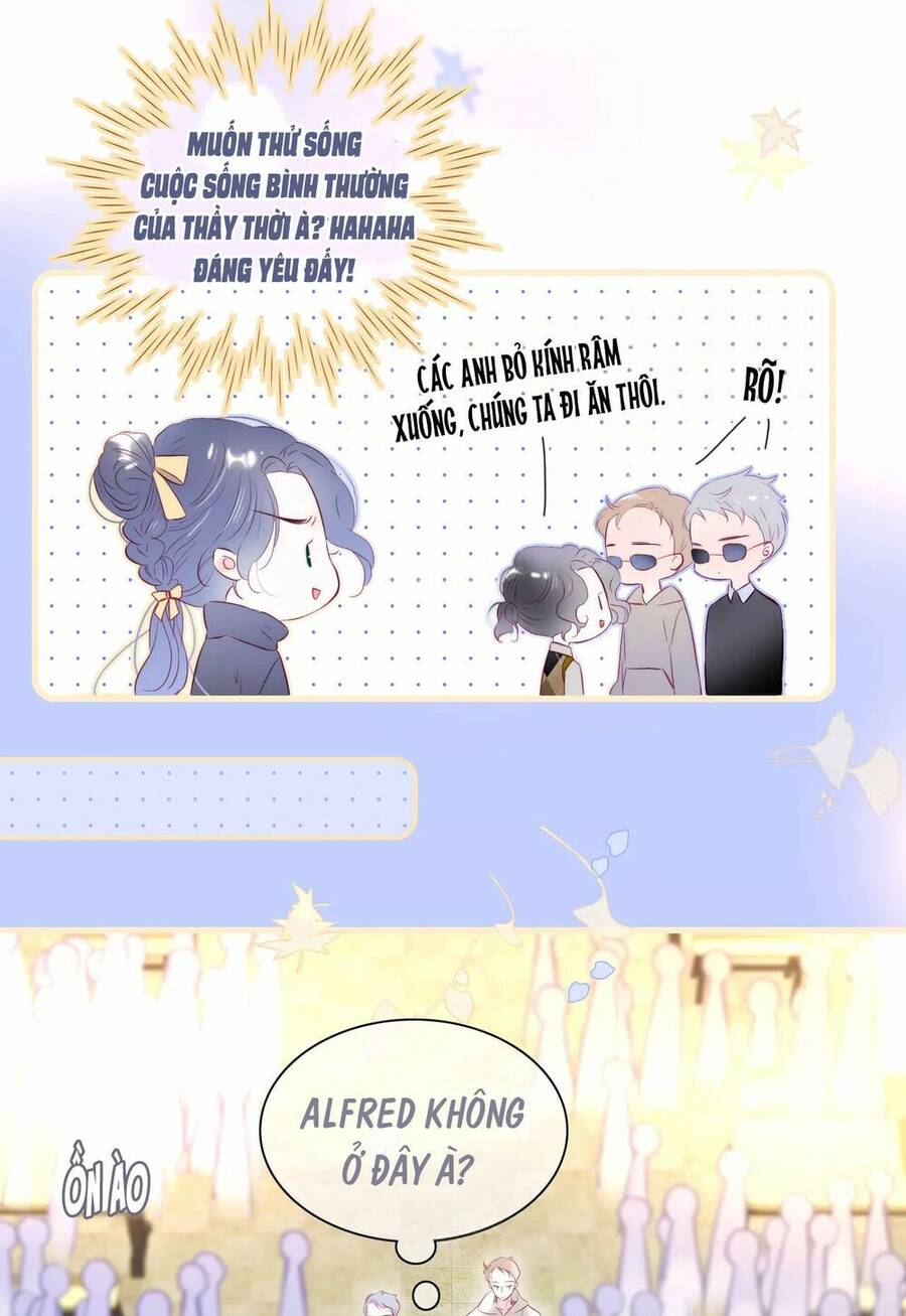 Chạy Trốn Cùng Con Nhím - Chương 43 - Trang 7