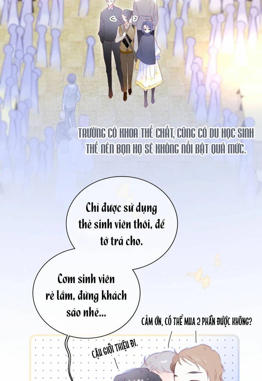 Chạy Trốn Cùng Con Nhím - Chương 43 - Trang 8