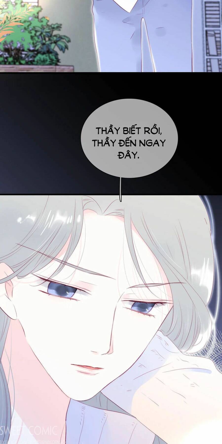 Chạy Trốn Cùng Con Nhím - Chương 49 - Trang 2