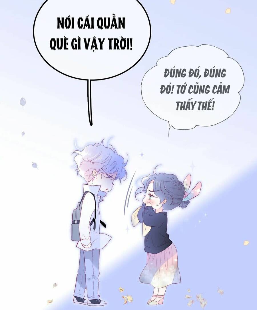 Chạy Trốn Cùng Con Nhím - Chương 50 - Trang 25