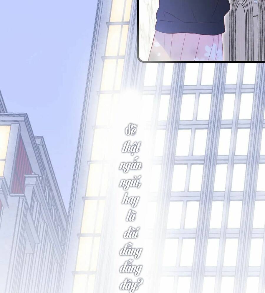 Chạy Trốn Cùng Con Nhím - Chương 51 - Trang 50