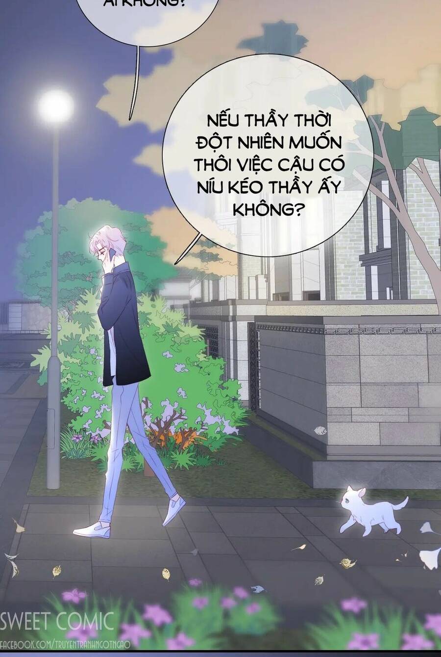 Chạy Trốn Cùng Con Nhím - Chương 58 - Trang 16