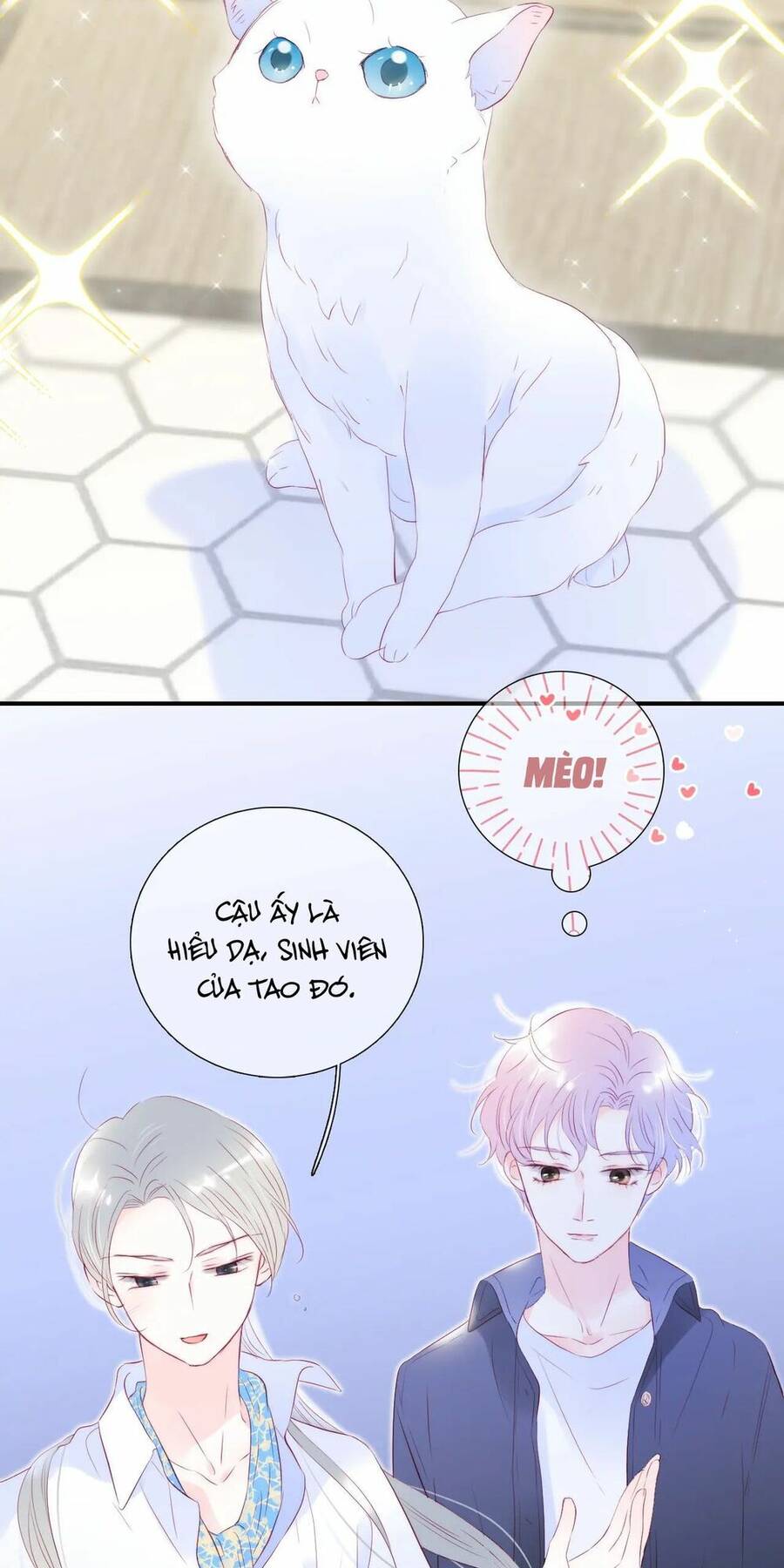 Chạy Trốn Cùng Con Nhím - Chương 58 - Trang 7