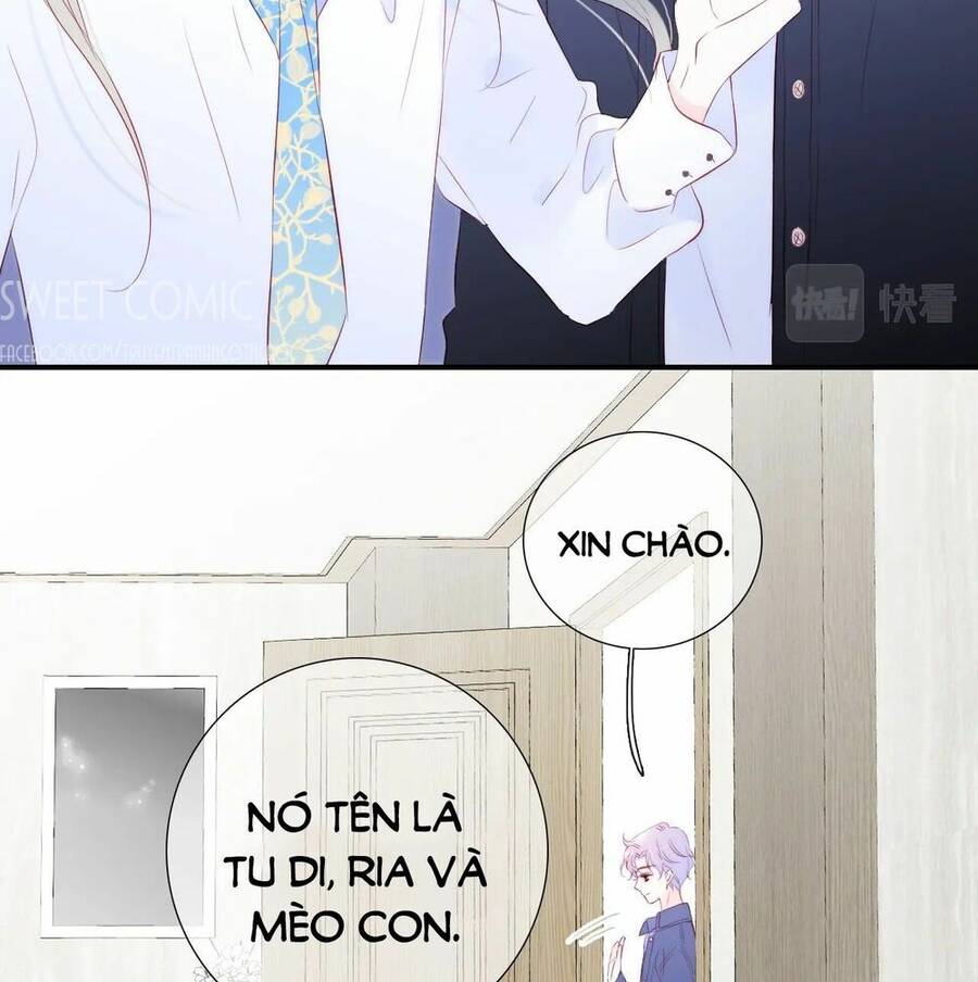 Chạy Trốn Cùng Con Nhím - Chương 58 - Trang 8