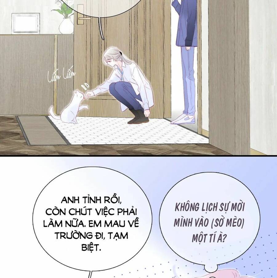 Chạy Trốn Cùng Con Nhím - Chương 58 - Trang 9