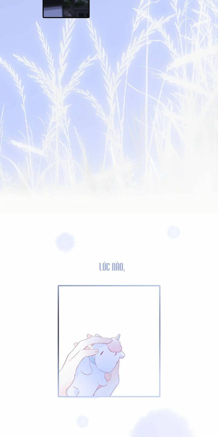 Chạy Trốn Cùng Con Nhím - Chương 67 - Trang 36