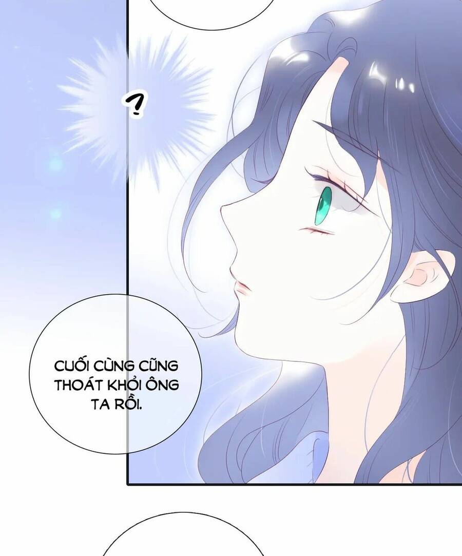 Chạy Trốn Cùng Con Nhím - Chương 71 - Trang 24