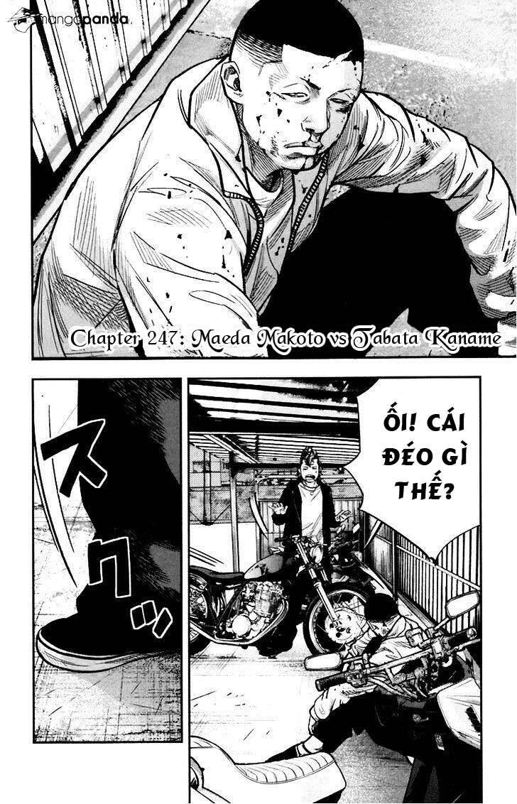 Clover (Tetsuhiro Hirakawa) - Chương 247 - Trang 2