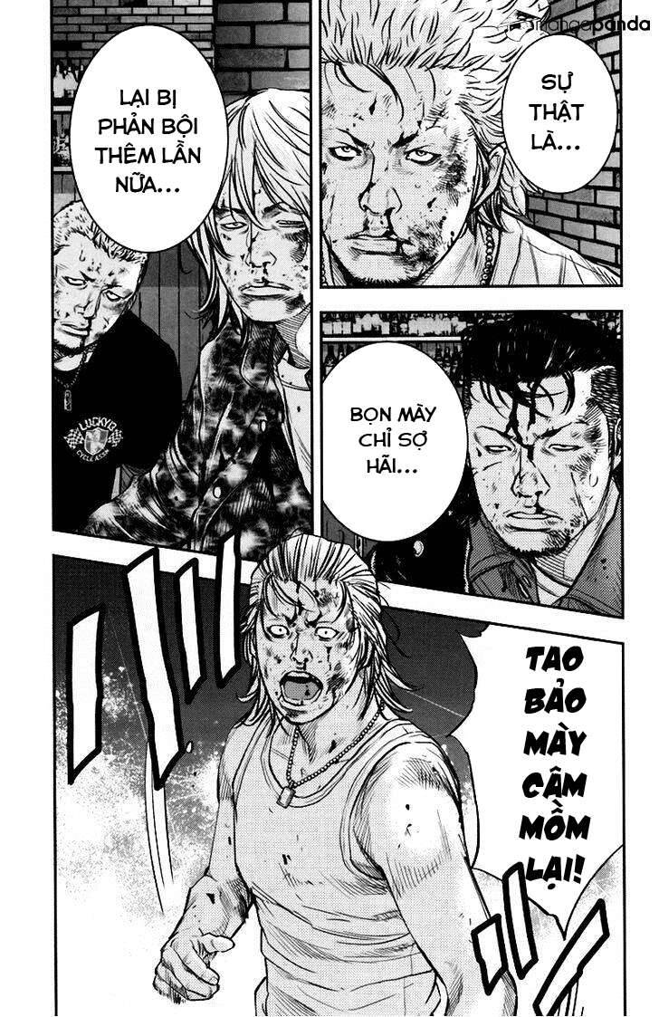 Clover (Tetsuhiro Hirakawa) - Chương 238 - Trang 14