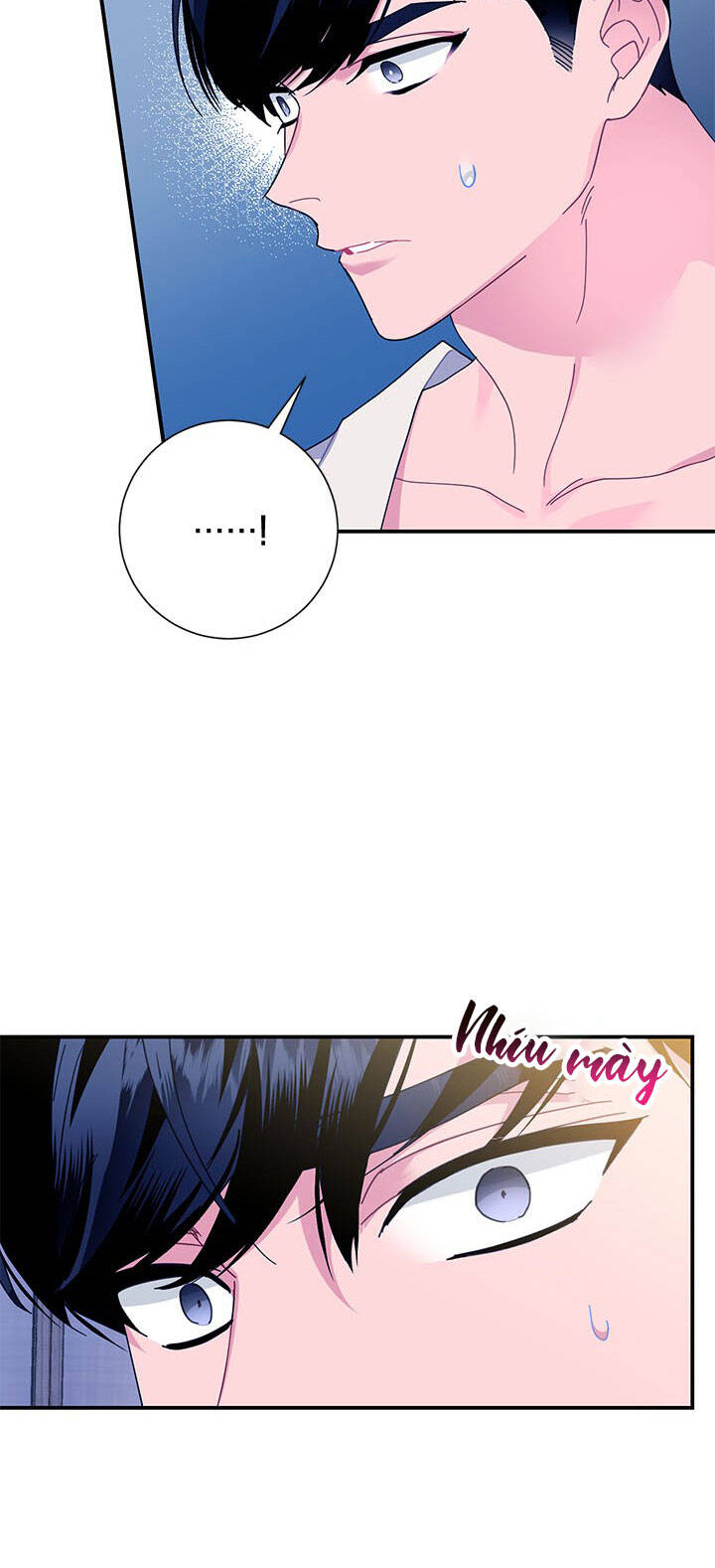 Công Chúa Của Loài Chim - Chương 53.1 - Trang 41
