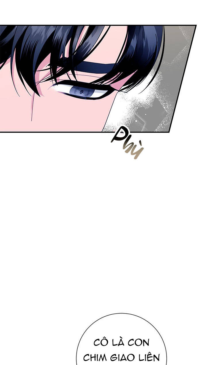 Công Chúa Của Loài Chim - Chương 53.1 - Trang 9