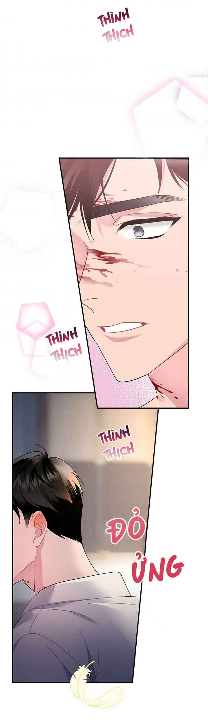 Công Chúa Của Loài Chim - Chương 55 - Trang 22