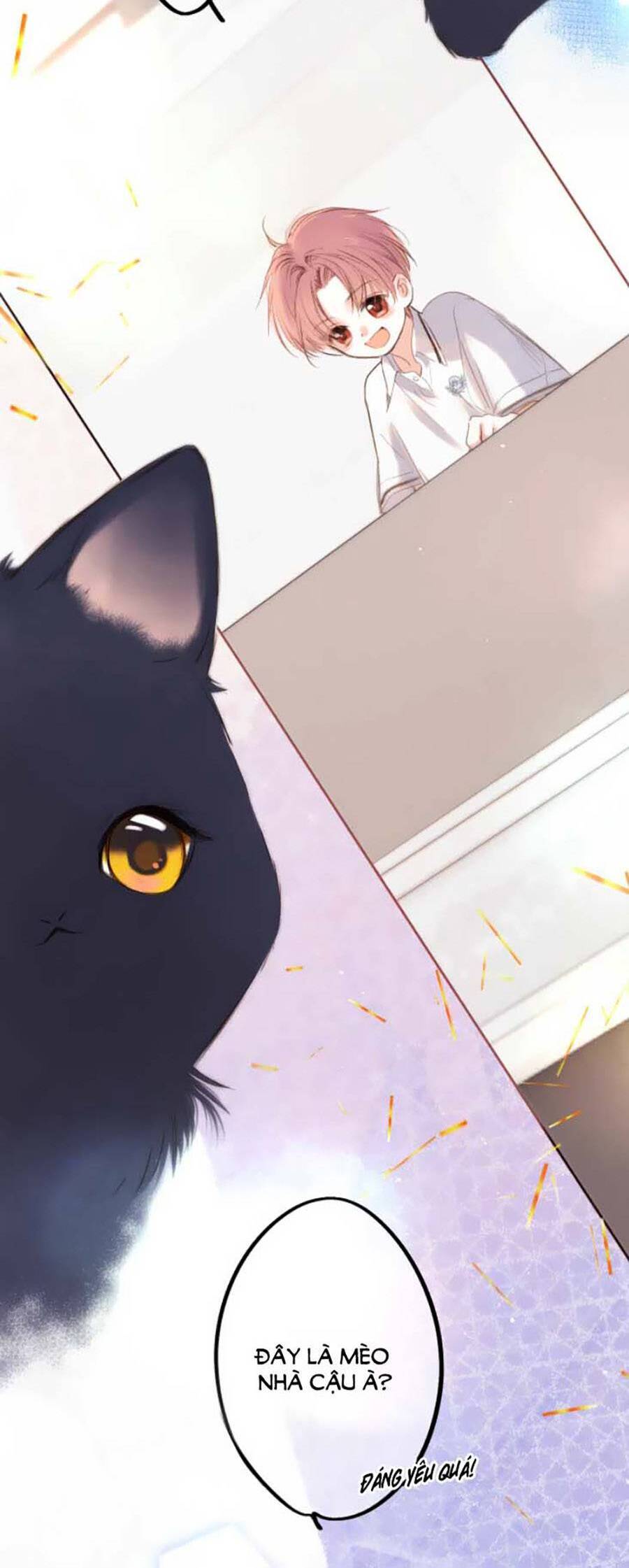 Con Tim Rung Động 3 - Chương 41.8 - Trang 5