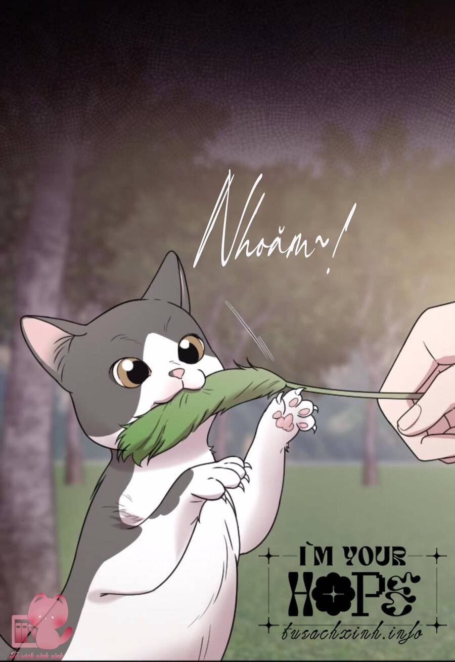 Cô Đi Mà Kết Hôn Với Chồng Tôi Đi - Chương 67 - Trang 36