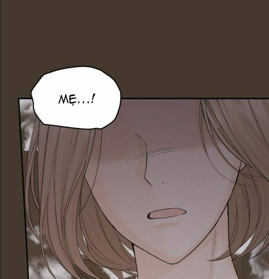 Cuộc Hôn Nhân Hoàn Hảo - Chương 11.3 - Trang 15