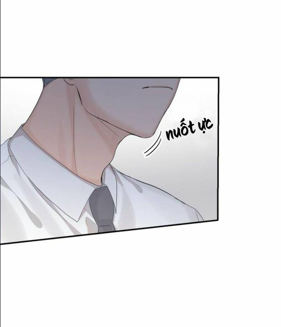 Cuộc Hôn Nhân Hoàn Hảo - Chương 11.3 - Trang 29