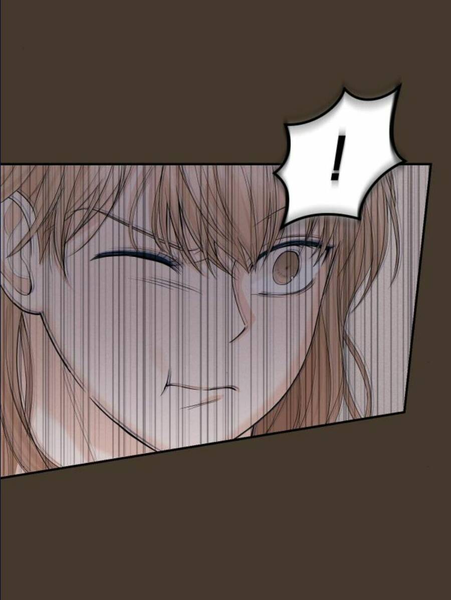 Cuộc Hôn Nhân Hoàn Hảo - Chương 11.3 - Trang 10