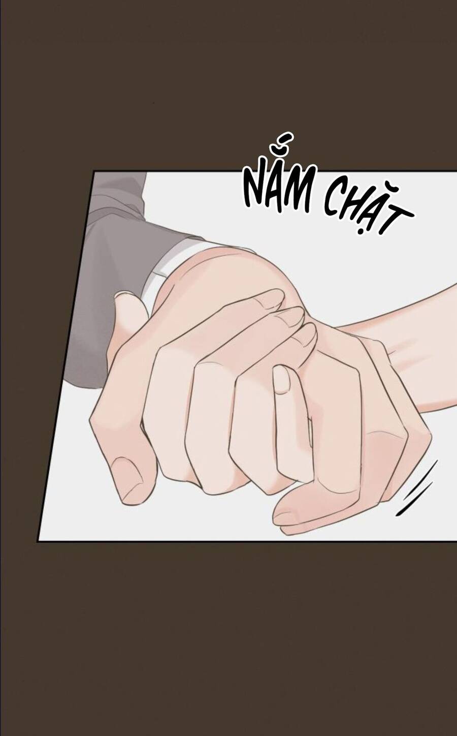 Cuộc Hôn Nhân Hoàn Hảo - Chương 13.2 - Trang 21