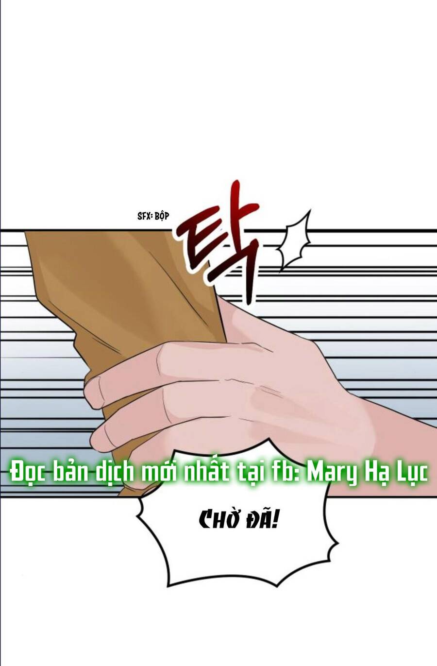 Cuộc Hôn Nhân Hoàn Hảo - Chương 15.2 - Trang 17