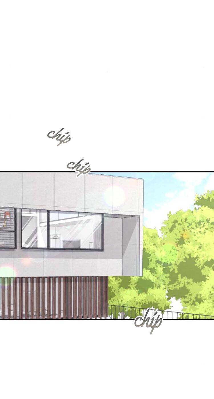 Cuộc Hôn Nhân Hoàn Hảo - Chương 16.3 - Trang 1